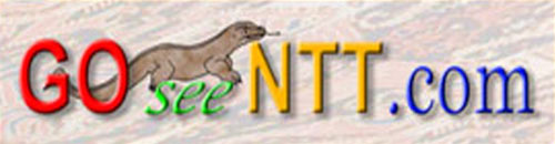 Go to the Go See NTT website