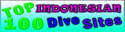 Go to the Top 100 Indonesian Dive Sites website