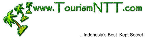 Go to the Tourism NTT website